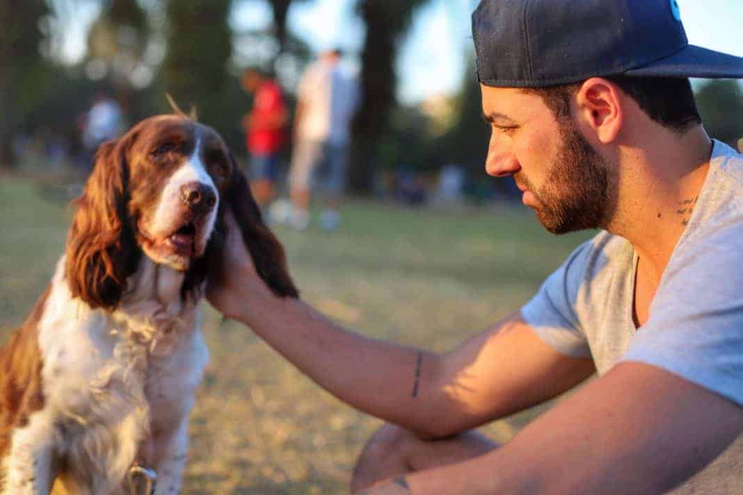 Melhores Restaurantes Para Levar Seu Cachorro Em S O Paulo Getoutside