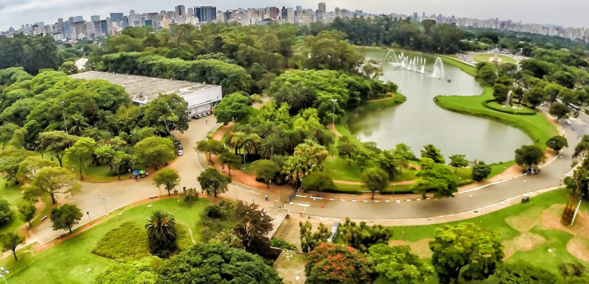 Parque do Ibirapuera visto de cima