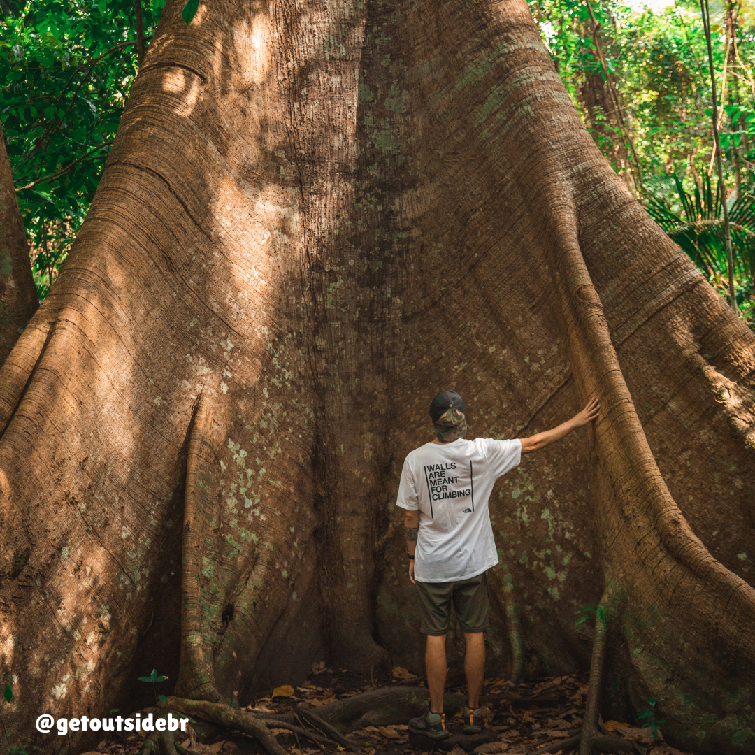 Homem apoiando o braço no tronco de uma árvore Samaúma
