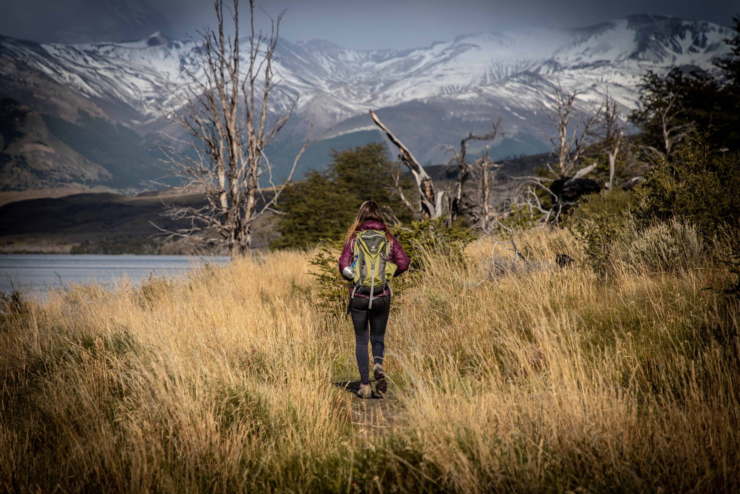 Torres del Paine