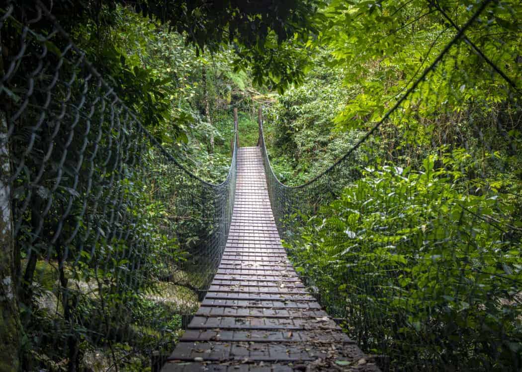 Trilha para a Praia do Bonete
