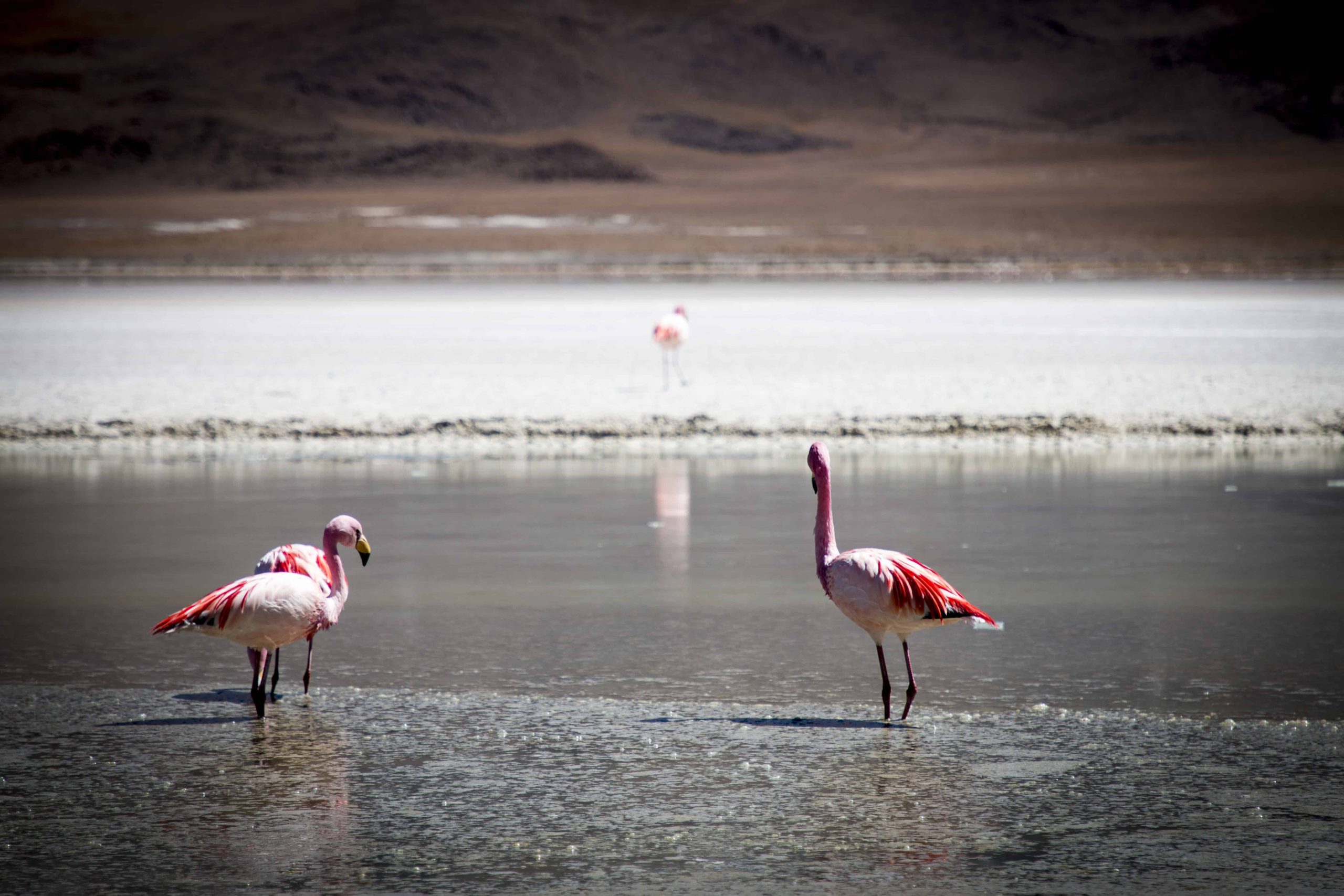 Salar de Uyuni