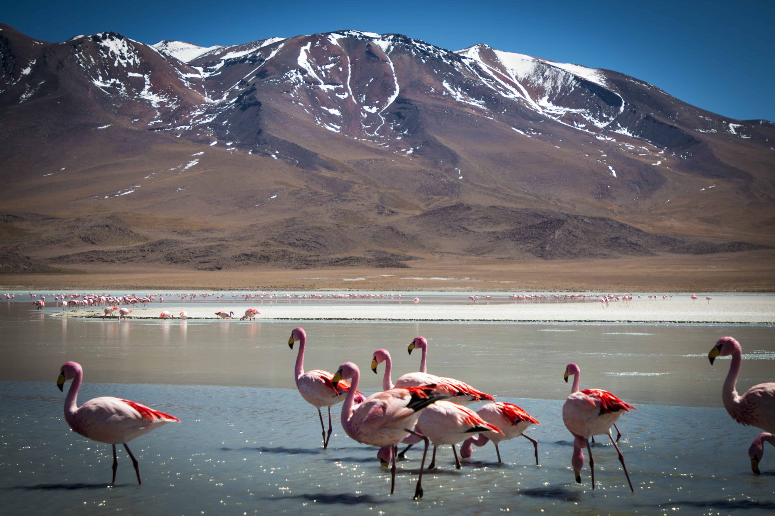 Salar de Uyuni