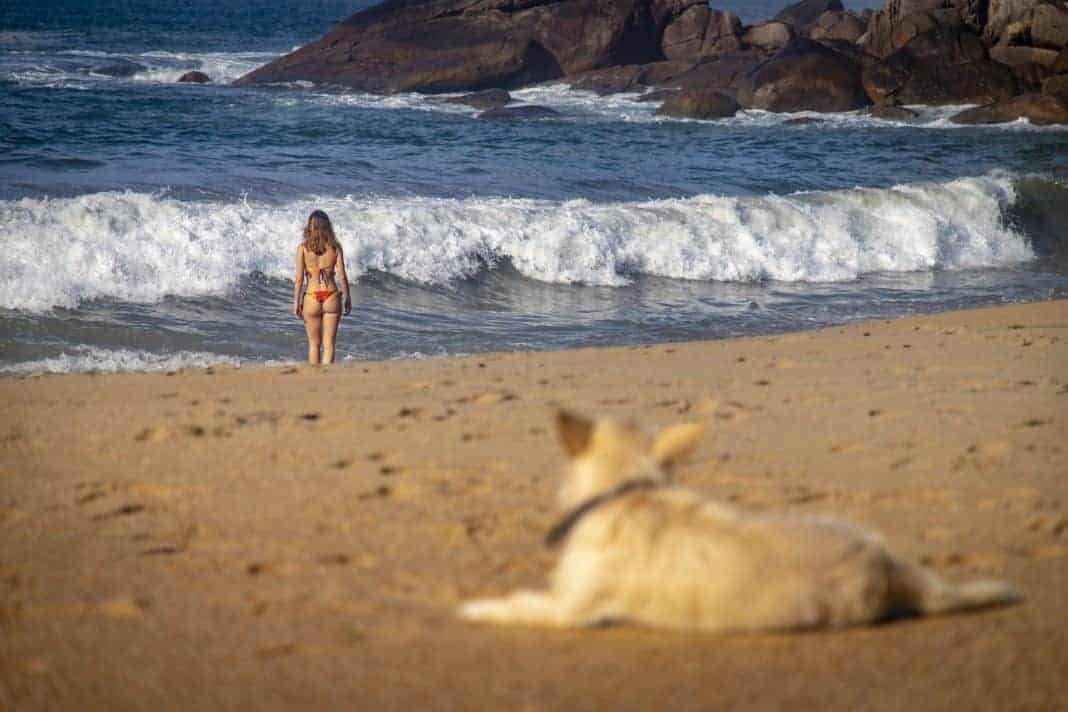 Praia da Ponta Negra