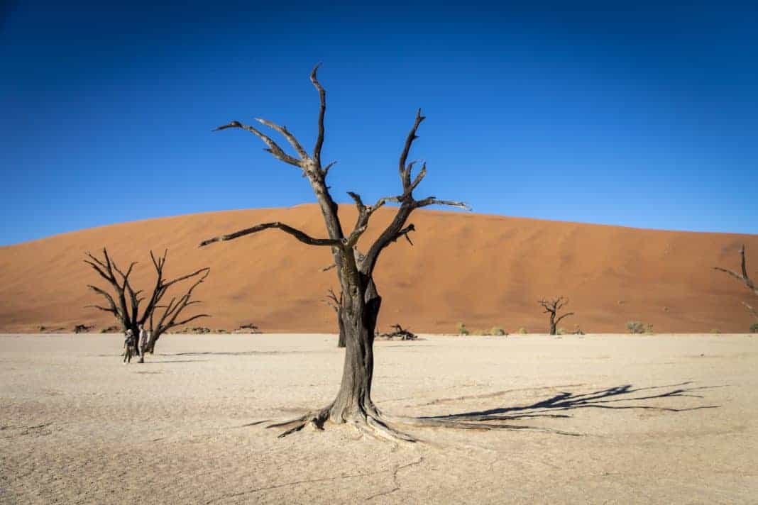 Deadvlei