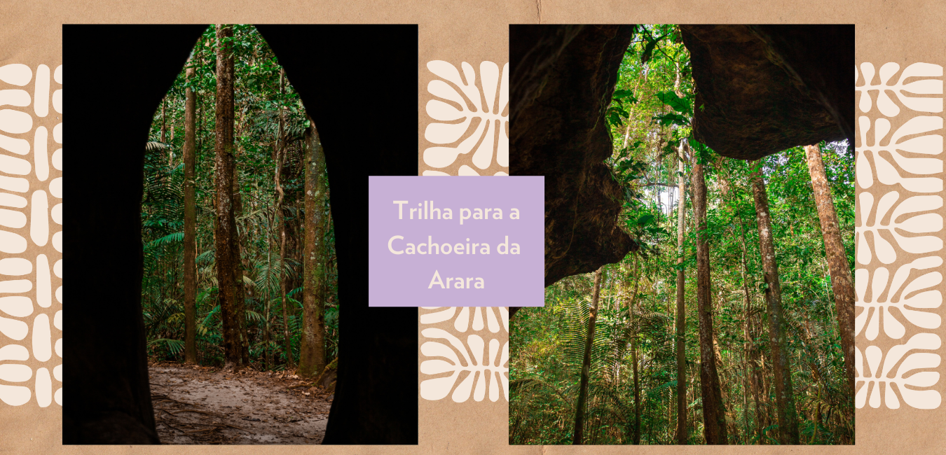 Trilha em Presidente Figueiredo